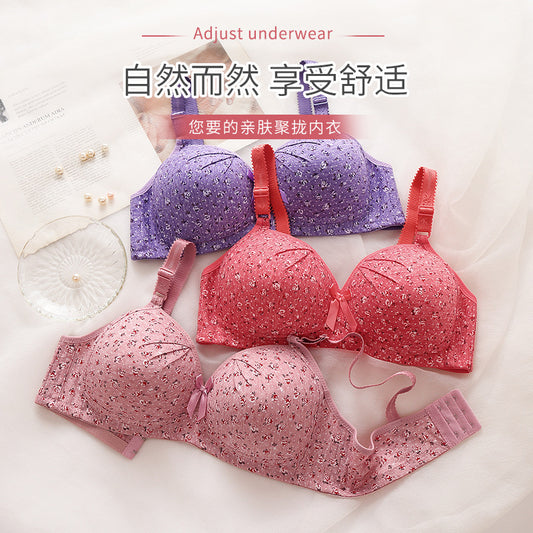 Foreign trade cross-border pure cotton printing bra without steel ring gather non-magnetic plus size mother underwear factory direct sales
